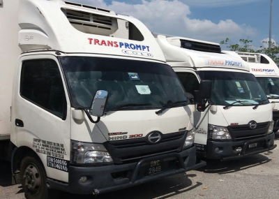 Cold Chain Logistics